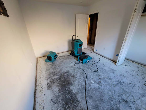 Best Residential water damage restoration  in Allen Park, MI