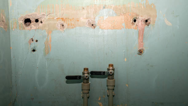 Best Water damage restoration specialists  in Allen Park, MI